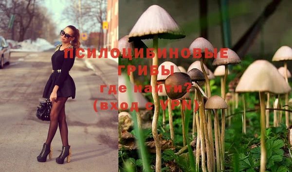 каннабис Армянск