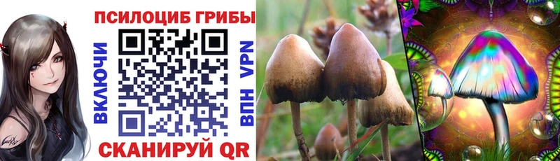 кракен ТОР  Кубинка  Галлюциногенные грибы прущие грибы 